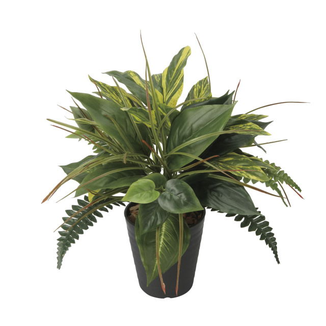 光触媒 光の楽園 ミックスフィロ【アートフラワー 造花】(2623A80)