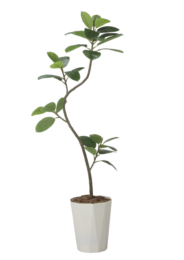 光触媒 光の楽園 フレッシュツイストゴムの木1.75（組立式）【インテリア フェイクグリーン 人工観葉植物】(2625A320)（※ラッピング不可）