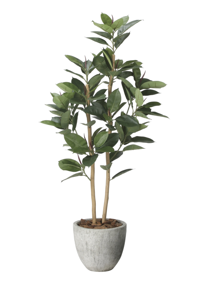 光触媒 光の楽園 ナチュラルゴムの木1.6m【インテリア フェイクグリーン 人工観葉植物】(2626A530)（※ラッピング不可）