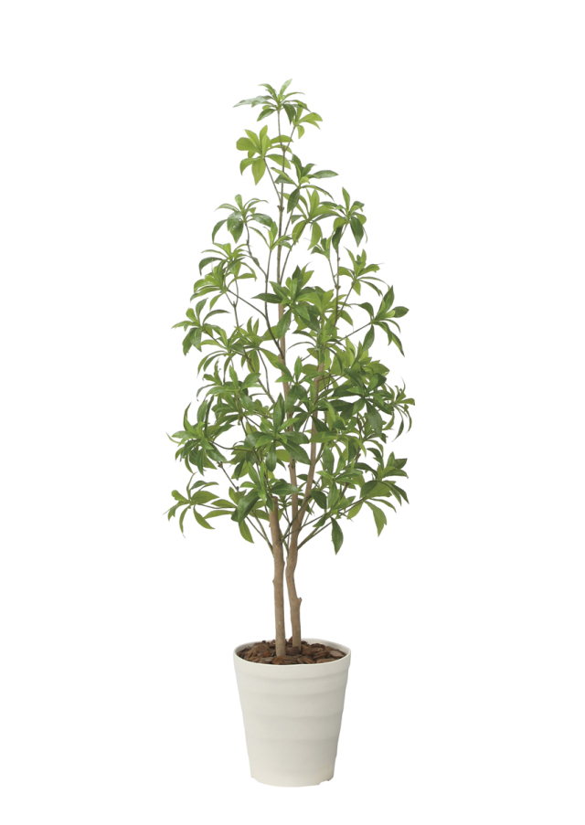 光触媒 光の楽園ハックルベリー1.25m【インテリア フェイクグリーン