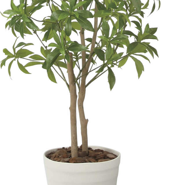 光触媒　観葉植物　ウォールグリーン　フェイクグリーン　フレッシュアセビ1.35 光触媒 光の楽園 フレッシュアセビ1.35m【インテリア フェイクグリーン
