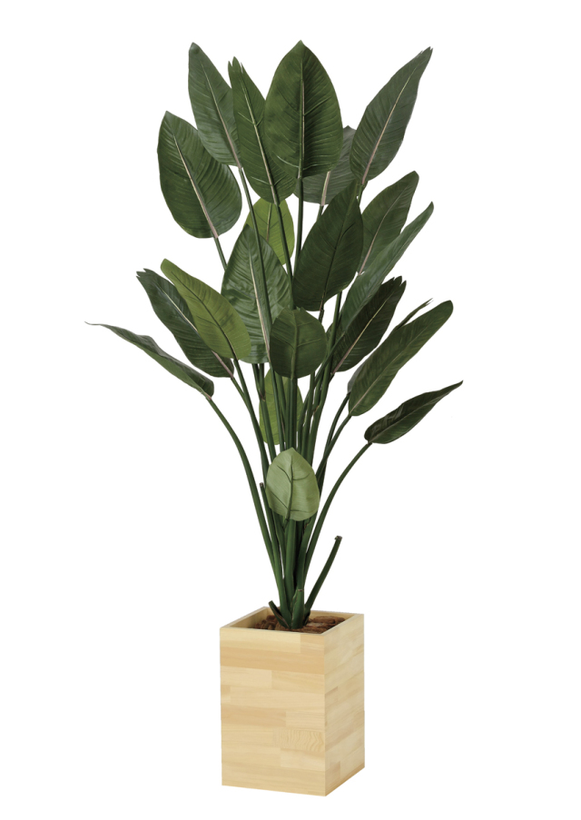 光触媒　人工観葉植物　フェイクグリーン　アーバンゴールデンリーフ1.8m 光触媒 光の楽園 アーバンゴールデンリーフ1.8m【インテリア フェイク