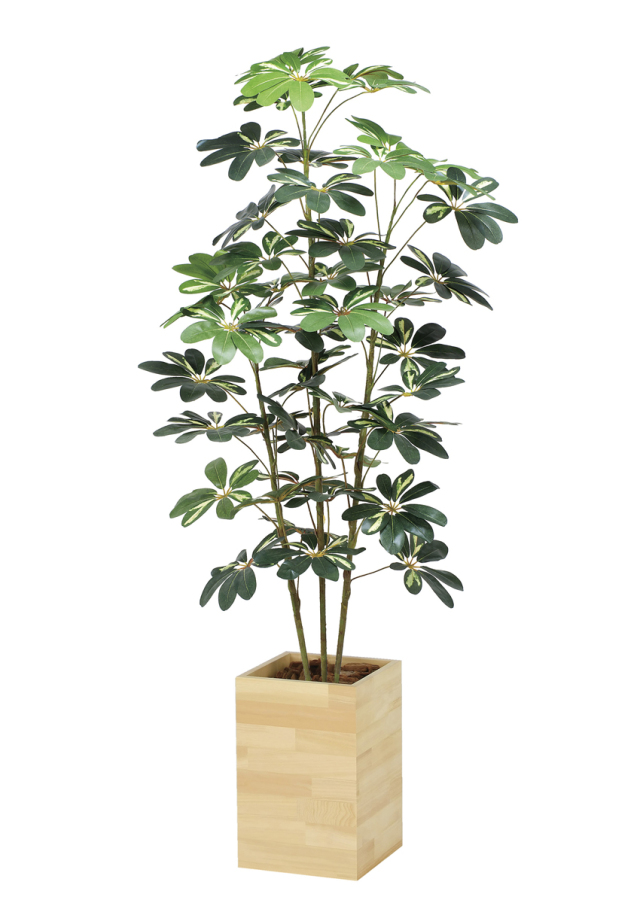 光触媒 光の楽園 ウッドボックスカポック1.6m【インテリア フェイクグリーン 人工観葉植物】(2641A430)（※ラッピング不可）