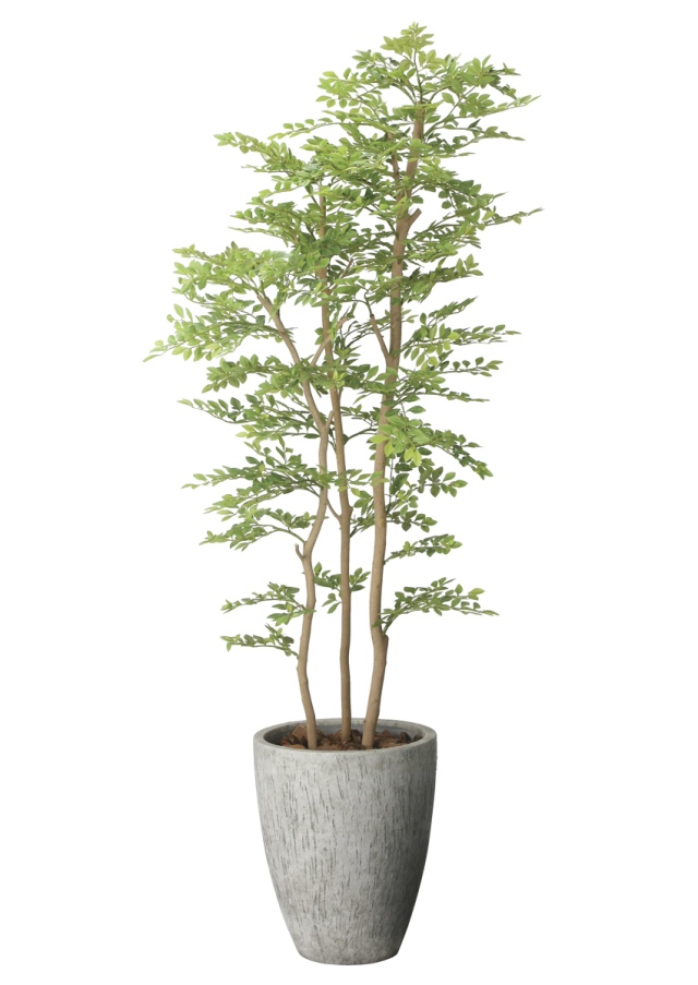 光触媒　人工観葉植物　フェイクグリーン　ゴールデンリーフコアッド 光触媒 光の楽園 ナチュラルゴールデンリーフ1.8m【インテリア