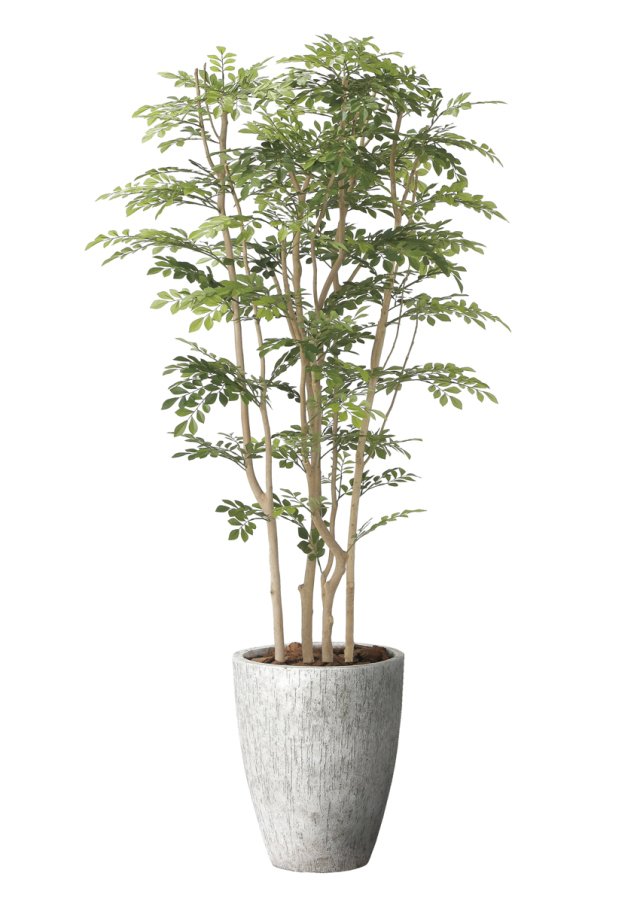 180cm以上 造花と観葉植物の専門店 光の楽園