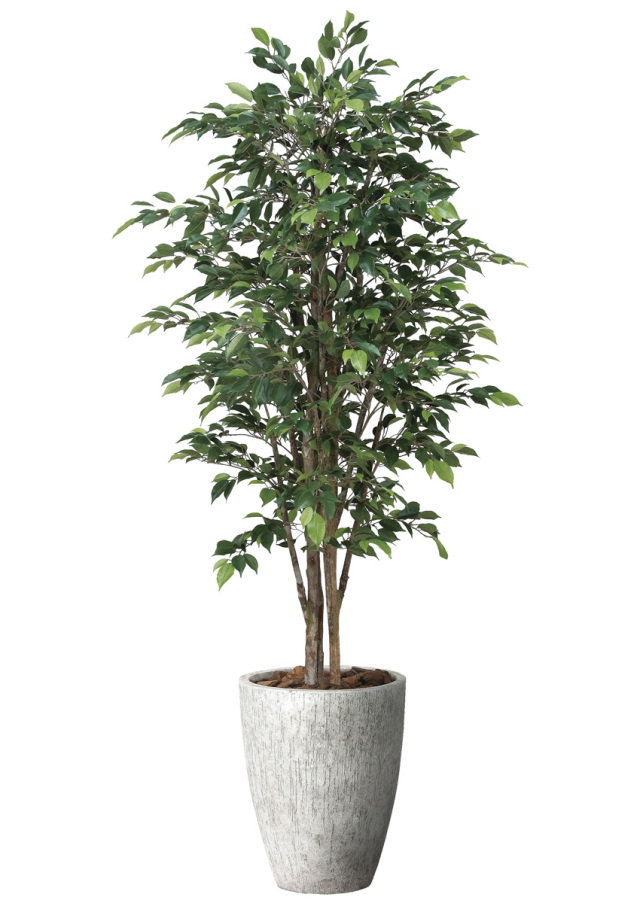 造花と観葉植物の専門店 光の楽園