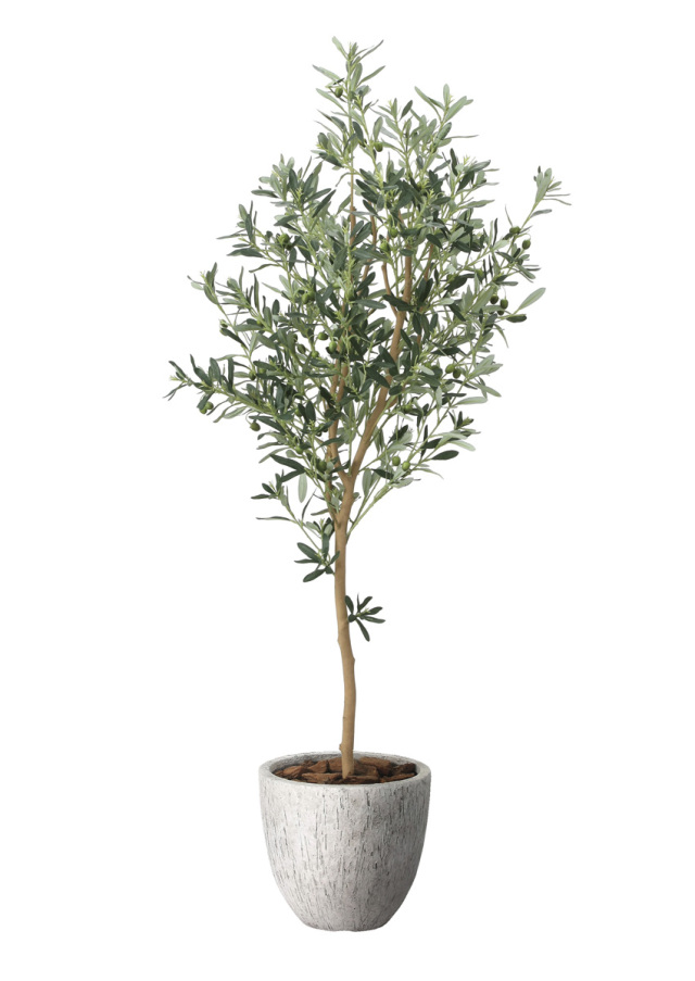 光触媒 光の楽園 ナチュラルオリーブ1.6m【インテリア フェイクグリーン 人工観葉植物】(2649A620)（※ラッピング不可）