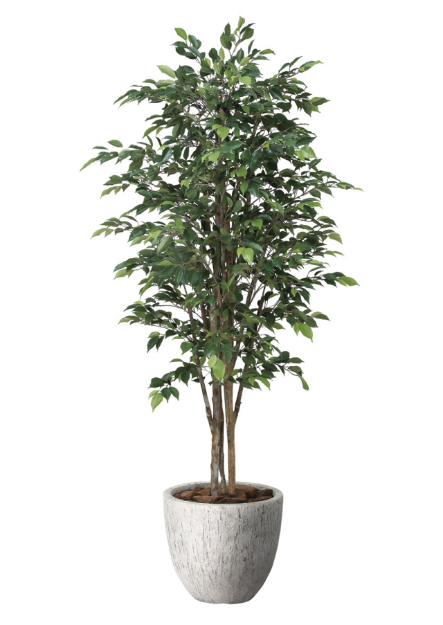 光触媒 光の楽園 ナチュラルパキラ1.6m【インテリア フェイクグリーン