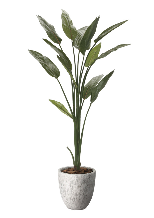 光触媒 光の楽園 ナチュラルストレチア1.6m【インテリア フェイクグリーン 人工観葉植物】(2651A460)（※ラッピング不可）