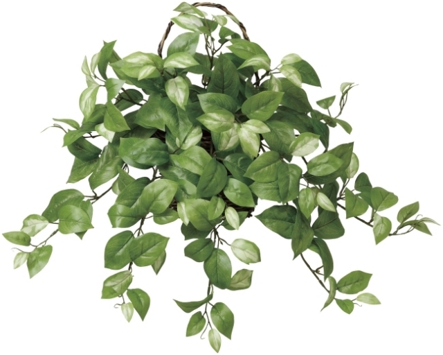 光触媒 光の楽園壁掛ホヤ インテリアグリーン 人工観葉植物 268a60 造花と観葉植物の専門店 光の楽園