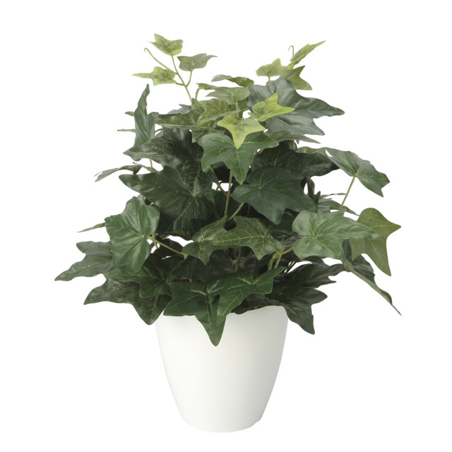 光触媒 光の楽園 アイビ―M【アートフラワー 造花】(2704A50)