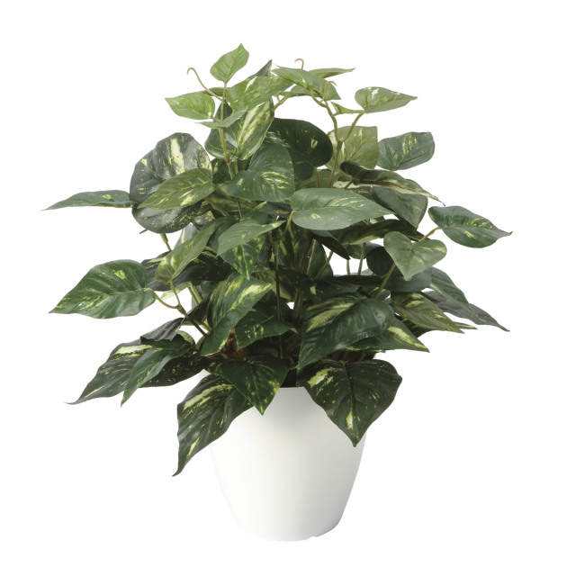 光触媒 光の楽園 ポトスM【アートフラワー 造花】(2705A50)