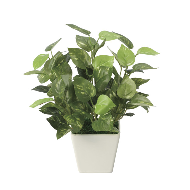 光触媒 光の楽園ユーカリ【インテリアグリーン 人工観葉植物】(385a50