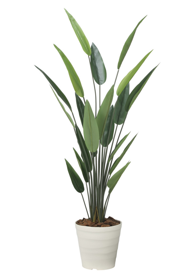 光触媒 光の楽園 フレッシュストレチア 1.9m【インテリア フェイクグリーン 人工観葉植物】(2710A350)（※ラッピング不可）