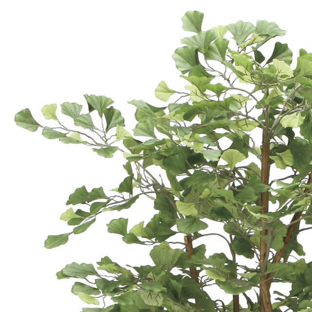 光触媒　人工観葉植物　ウォールグリーン　フェイクグリーン　イチョウの木1.8 光触媒 光の楽園 イチョウの木1.8m【インテリア フェイクグリーン 人工