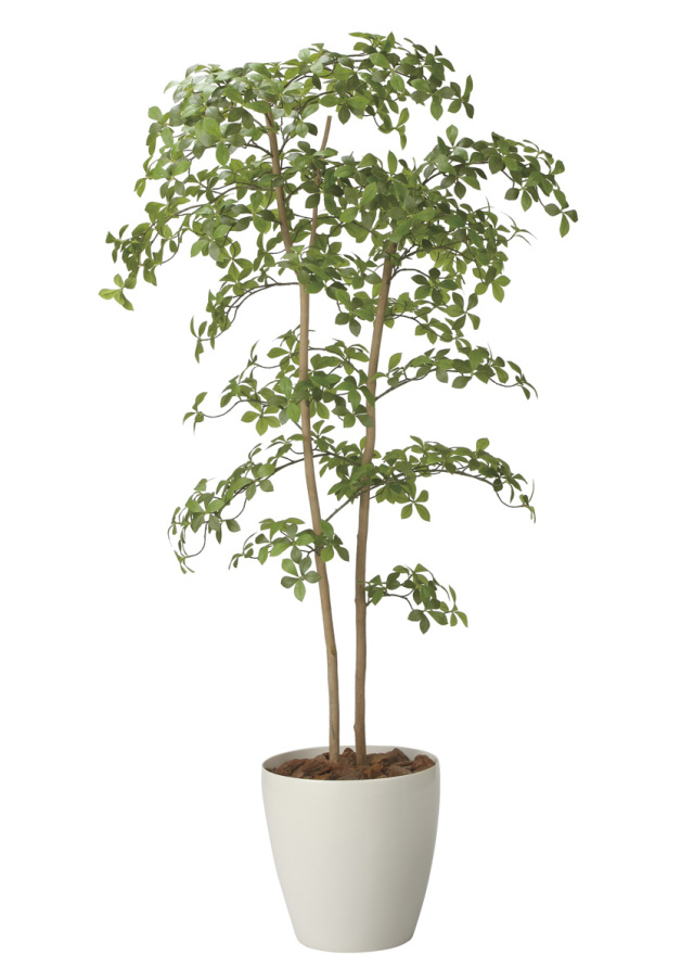 光触媒 光の楽園 アーモンドツリー1.8m【インテリア フェイクグリーン 人工観葉植物】(2714A500)（※ラッピング不可）