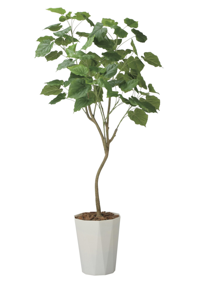 光触媒 光の楽園 インテリアウンベラータ1.75m【インテリア フェイクグリーン 人工観葉植物】(2718A580)（※ラッピング不可）