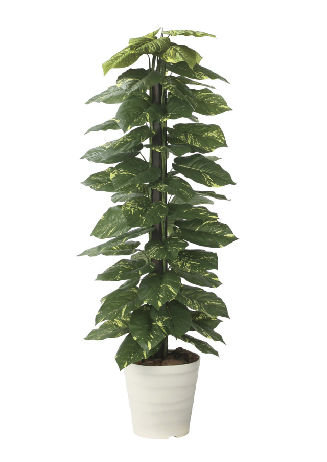 光触媒 光の楽園 ジャイアントポトス1.5m【インテリア フェイクグリーン 人工観葉植物】(2719A280)（※ラッピング不可）