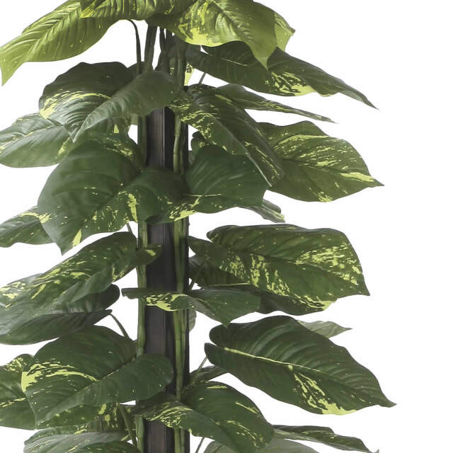 光触媒　人工観葉植物　フェイクグリーン　ジャイアントポトス高さ180センチd 光触媒 光の楽園 ジャイアントポトス1.5m【インテリア フェイク