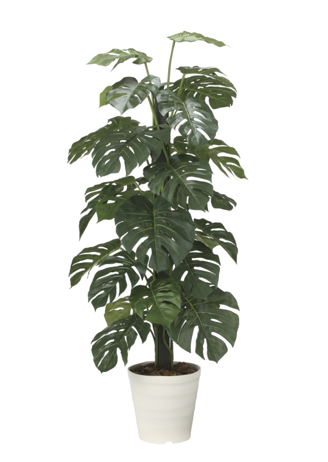光触媒　人工観葉植物　ウォールグリーン　フェイクグリーン　タイワンモミジ1.3z 光触媒 光の楽園 ポリシャス 高さ1.3m（タイワン モミジ