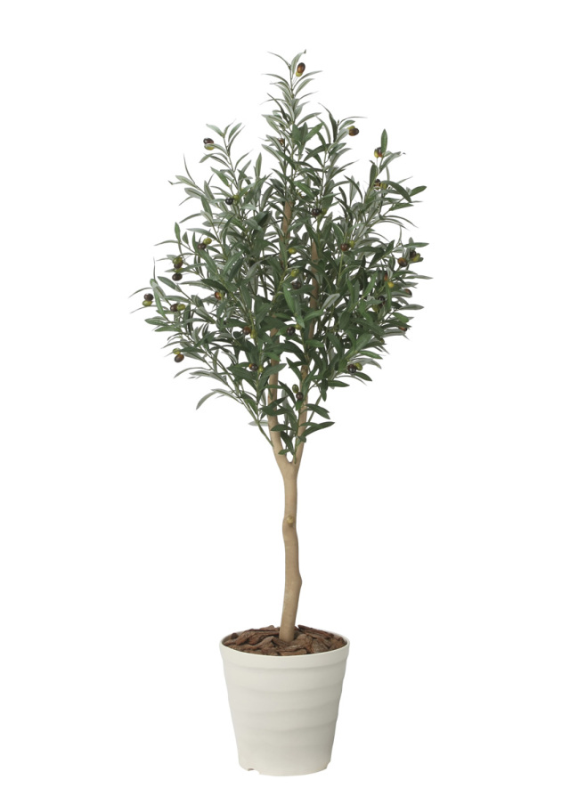 光触媒 光の楽園 ショウナンゴム1.8m【インテリア フェイクグリーン