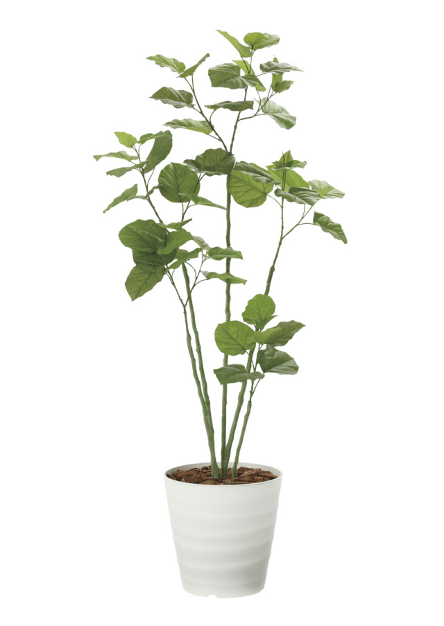 光触媒 光の楽園 フィカスツリー1.8m【インテリア フェイクグリーン