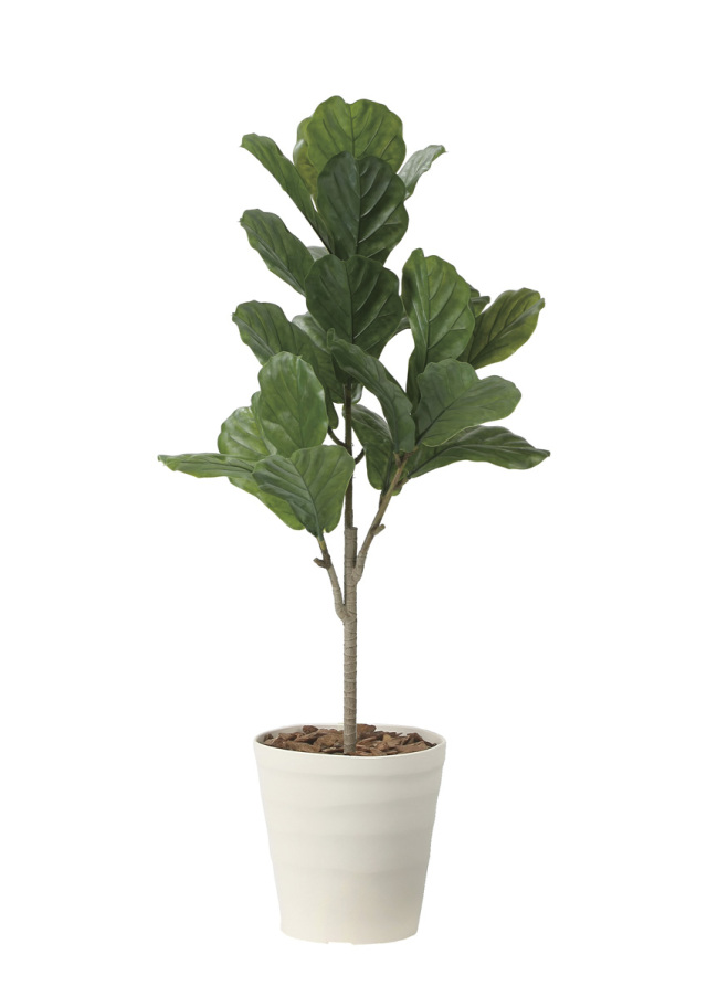 光触媒 光の楽園 カシワバゴム90（ポリ製）【インテリア フェイクグリーン 人工観葉植物】(2724A100)（※ラッピング不可）