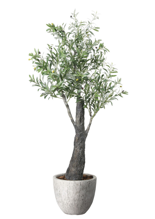 光触媒 光の楽園 ナチュラルオリーブ1.7m【インテリア フェイクグリーン 人工観葉植物】(2731A800)（※ラッピング不可）