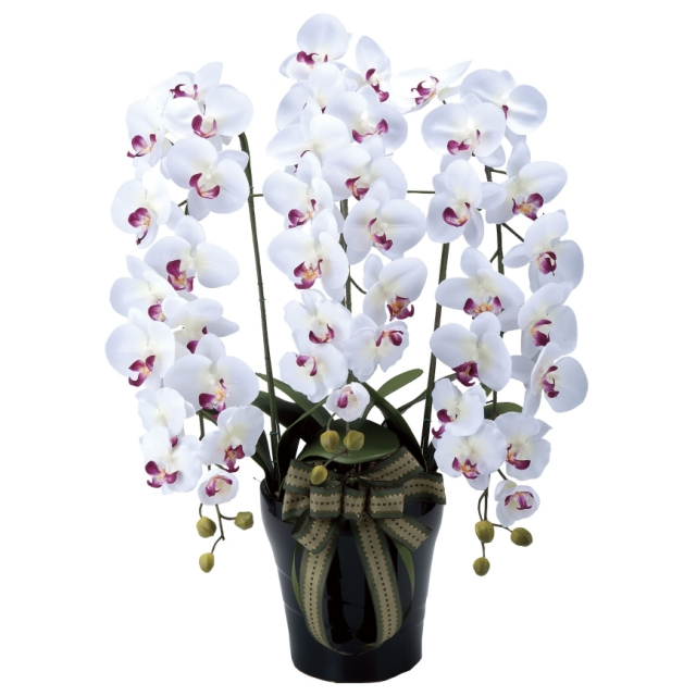 光触媒　光の楽園ロイヤル胡蝶蘭W/AB【アートフラワー 造花 】（※ラッピング不可）(310a200)