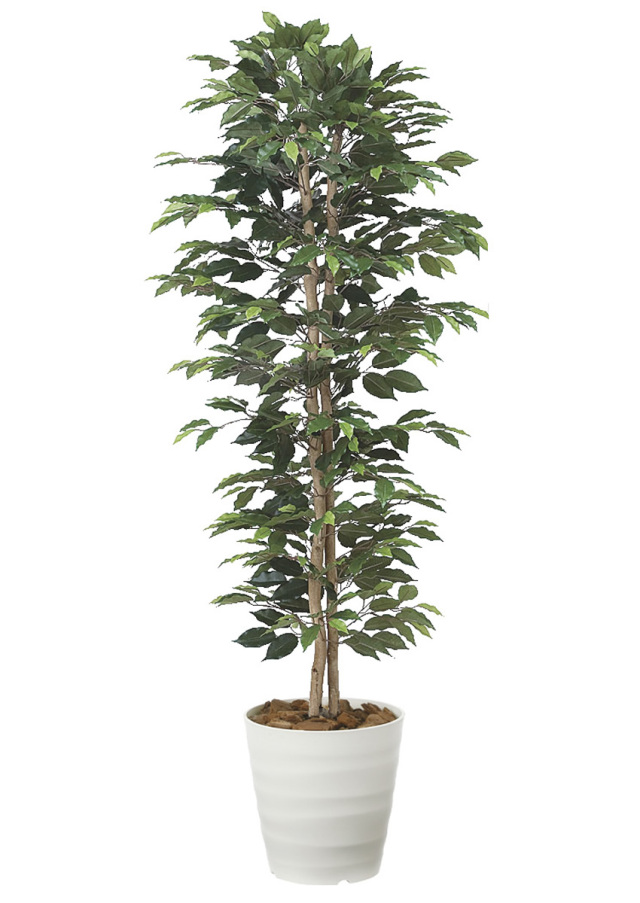 光触媒　人工観葉植物　ウォールグリーン　フェイクグリーン　ベンジャミン16016 光触媒 人工観葉植物 ウォールグリーン フェイクグリーン ベンジャミン