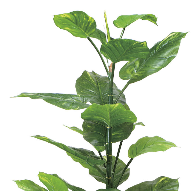 光触媒 光の楽園フレッシュポトス 高さ 1.5m【インテリア フェイク