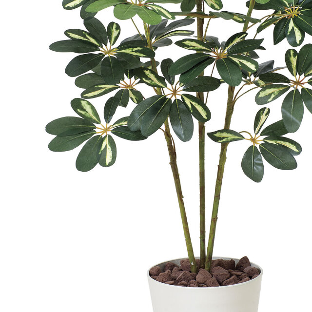 光触媒 光の楽園 カポック斑入リ1.2m【インテリア フェイク