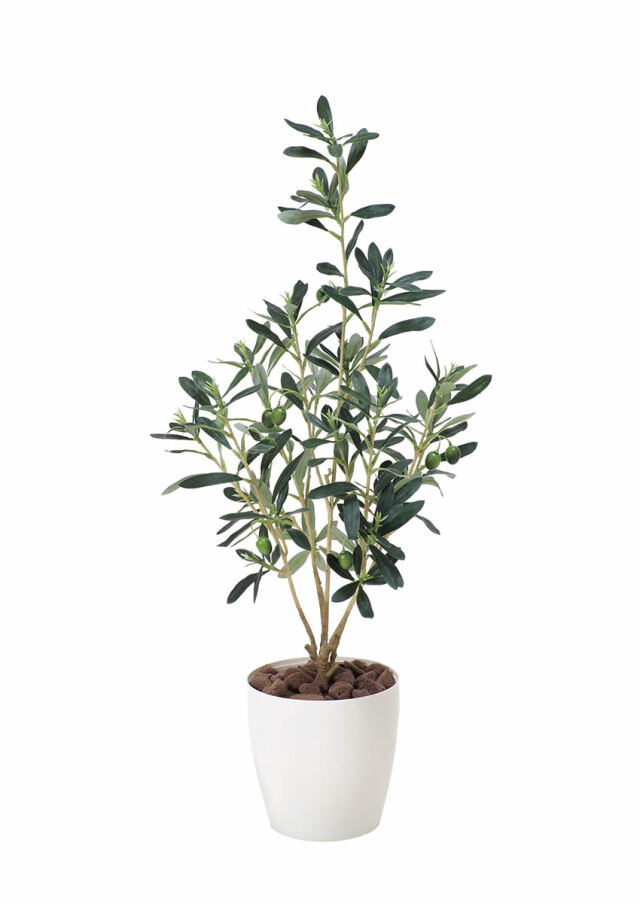 造花と観葉植物の専門店 光の楽園 