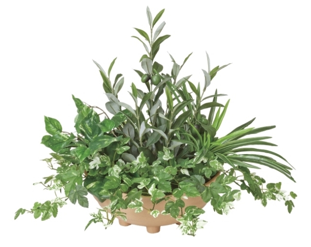 光触媒 光の楽園寄せ植えオリーブ インテリアグリーン 人工観葉植物 3a100 造花と観葉植物の専門店 光の楽園