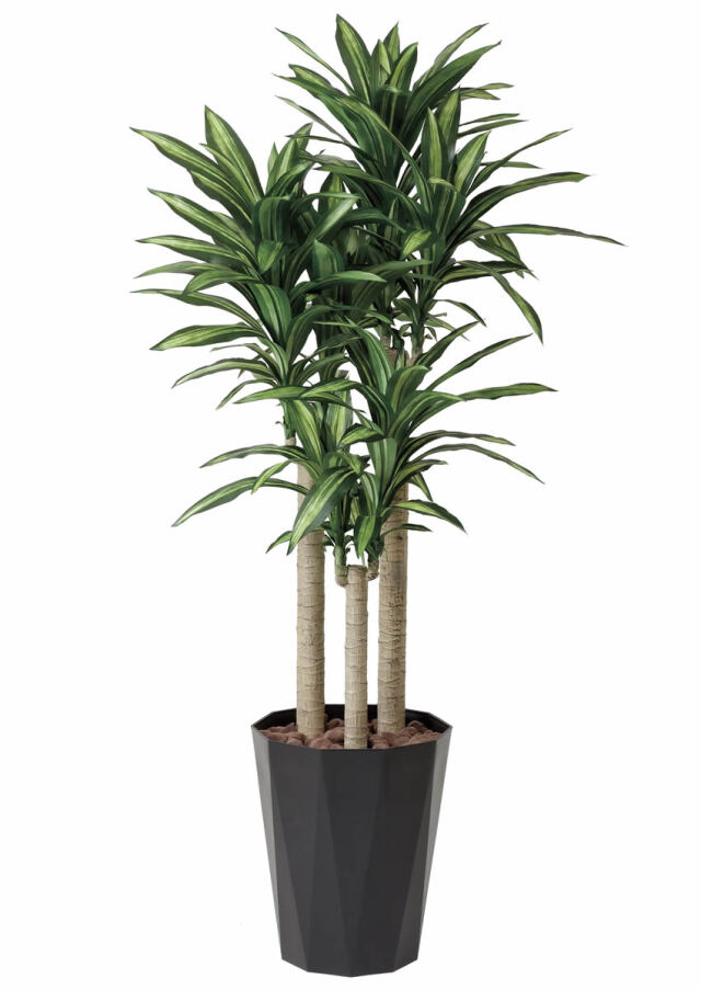 光触媒 光の楽園 幸福の木 1.8m【インテリア フェイクグリーン 人工観葉植物】(401P490)（※ラッピング不可）