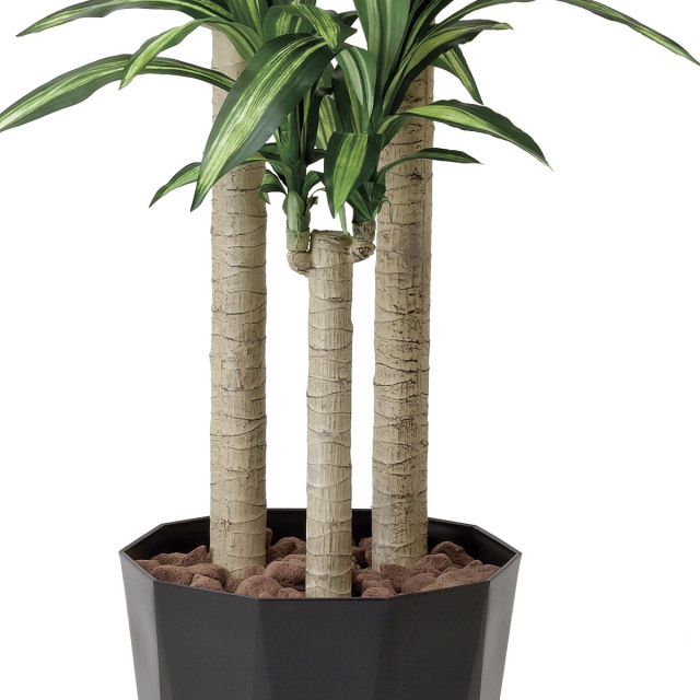 光触媒　人工観葉植物　フェイクグリーン　幸福の木1.8 光触媒 光の楽園 幸福の木 1.8m【インテリア フェイクグリーン