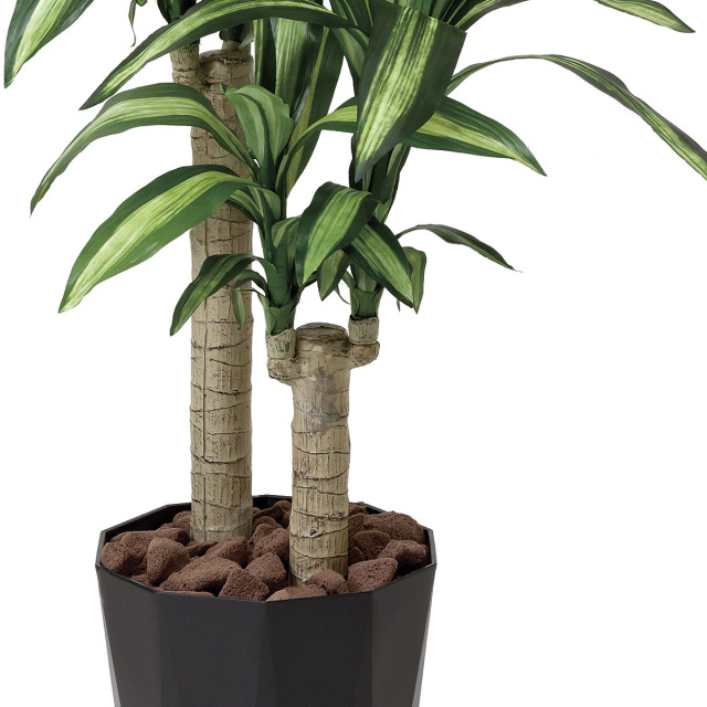 人工観葉植物 大型 フェイクグリーン 光触媒 観葉植物　幸福の木1.8m 楽天市場】【5%OFFクーポン有り！マラソン期間中♪】幸福の木