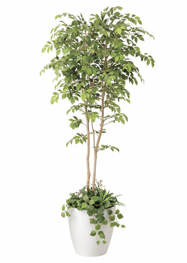 光触媒 光の楽園 マウンテンアッシュ植栽付1.8m【インテリア フェイクグリーン 人工観葉植物】(408P600)（※ラッピング不可）