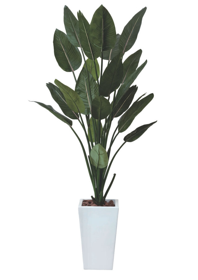 光触媒 光の楽園 ストレチアW1.6m【インテリア フェイクグリーン 人工観葉植物】(409P600)（※ラッピング不可）