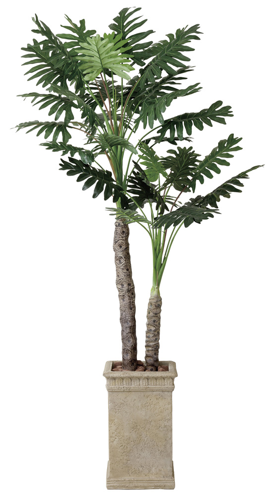 光触媒 光の楽園 セロームw 高さ 2 0ｍ インテリアグリーン 大型 人工観葉植物 415g6