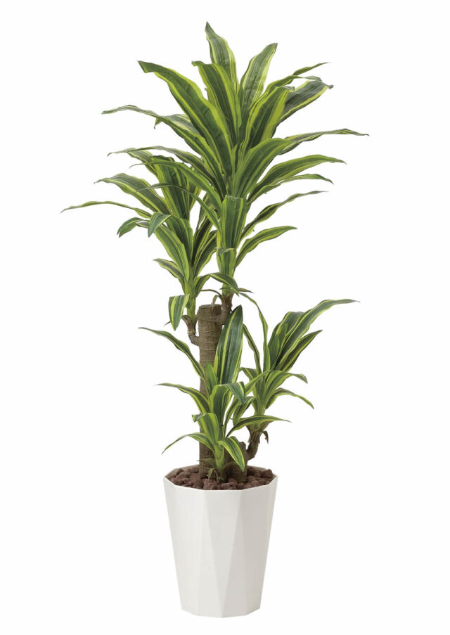 光触媒 光の楽園 フレッシュドラセナ1.25m【インテリア フェイクグリーン 人工観葉植物】(428P280)（※ラッピング不可）