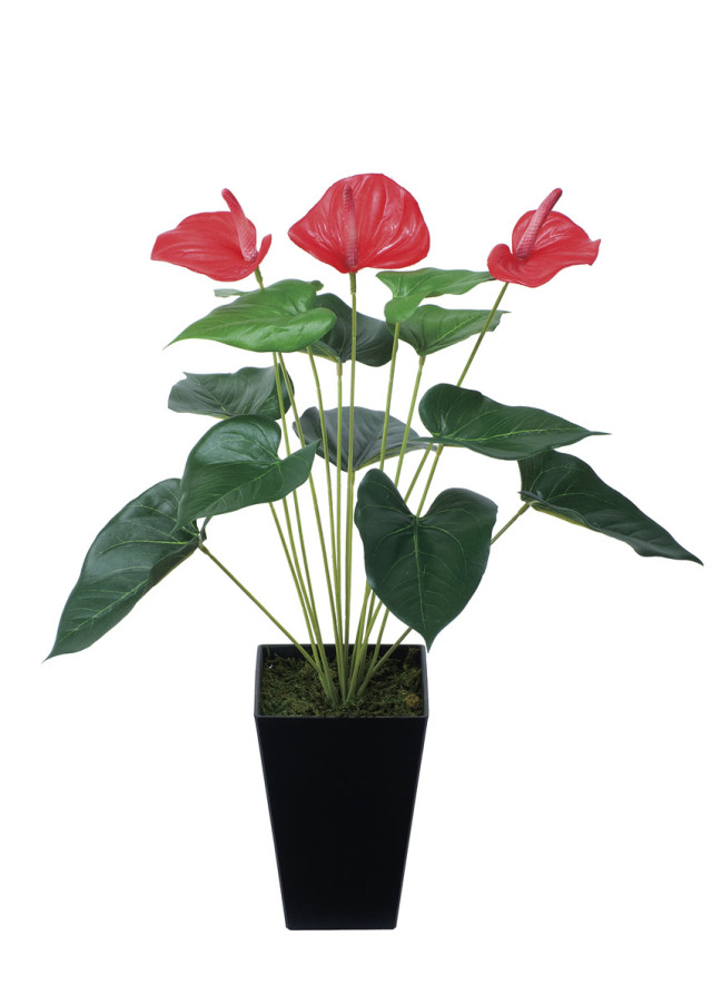 光触媒 光の楽園 アンスリューム【インテリア 人工観葉植物】(437K45)