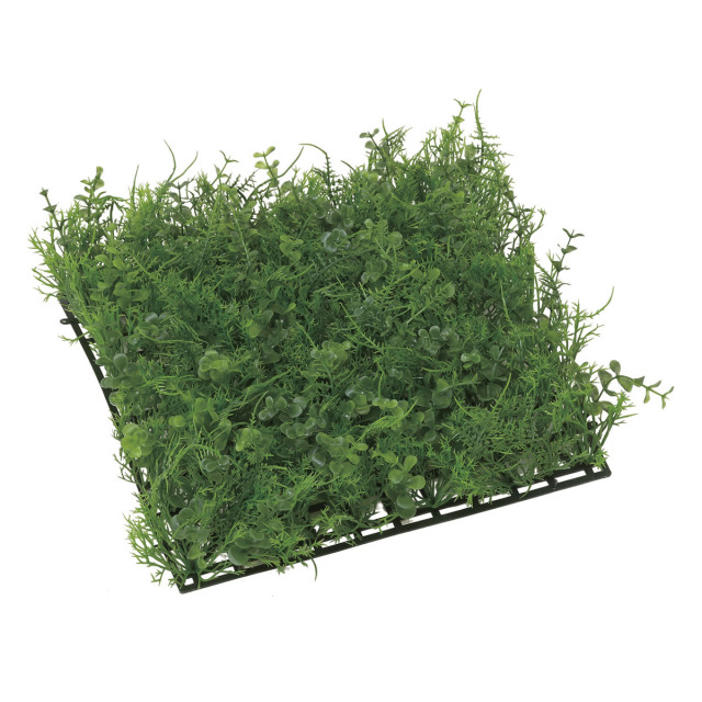 光触媒 光の楽園 壁掛けウッドボックス【インテリアグリーン