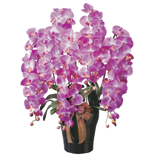 光触媒　光の楽園ロイヤル胡蝶蘭５本立L【アートフラワー 造花 】（※ラッピング不可）(446a300)