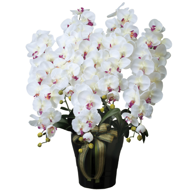 光触媒　光の楽園ロイヤル胡蝶蘭５本立W/AB【アートフラワー 造花 】（※ラッピング不可）(447a300)