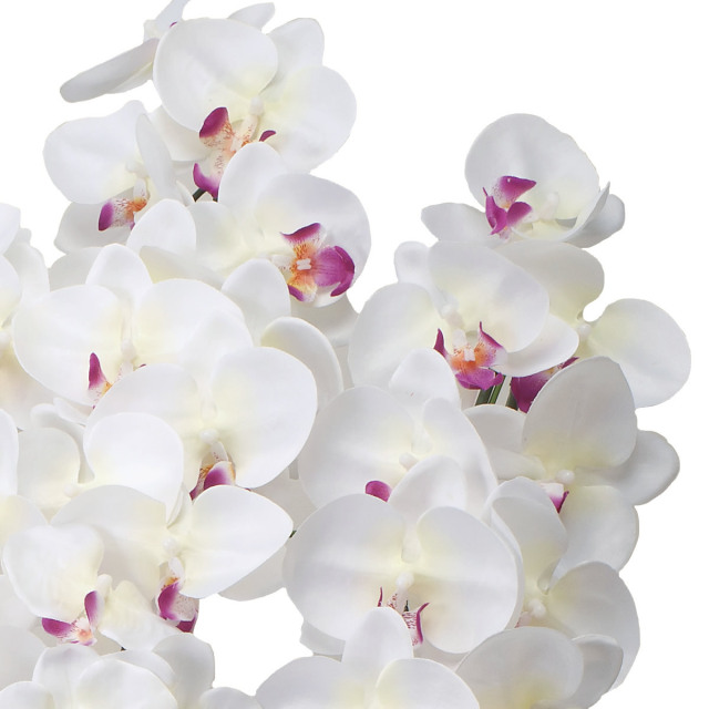 値下げ中！B.A　アクティブフラワーコレクション BAアクティブフラワーコレクション