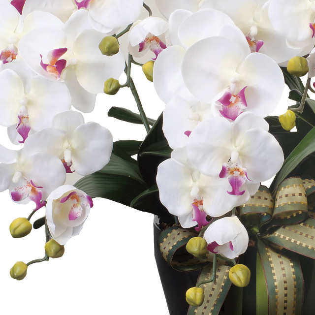 光触媒 光の楽園ロイヤル胡蝶蘭5本立W/AB【アートフラワー 造花