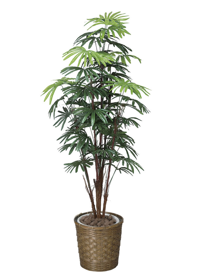 光触媒 光の楽園 シュロチク 1.6m【インテリア フェイクグリーン 人工観葉植物】(500R420)