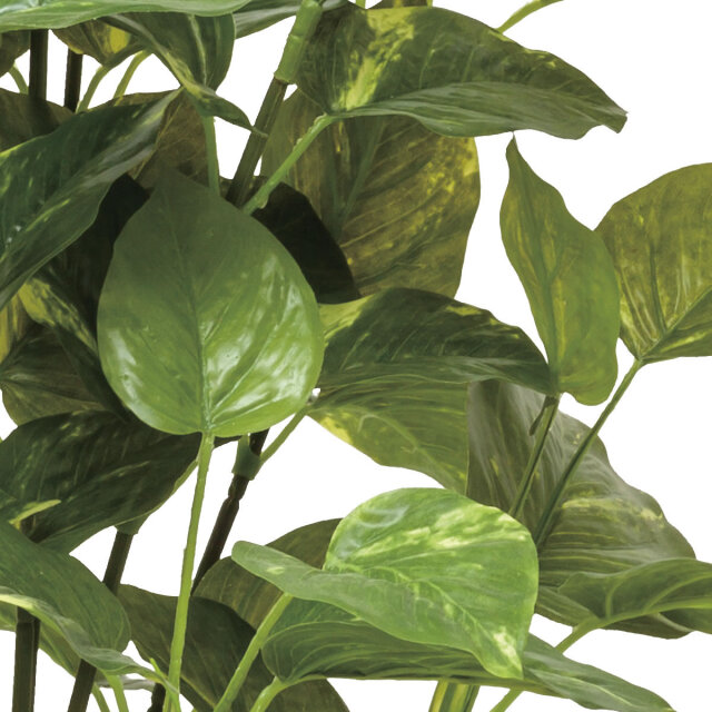 光触媒　人工観葉植物　ウォールグリーン　フェイクグリーン　ポトス1.0m 光触媒 人工観葉植物 ウォールグリーン フェイクグリーン フレッシュ