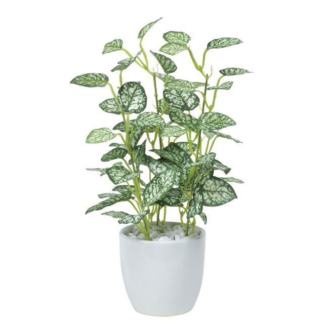 光触媒　光の楽園ミニピポエスタポット【インテリアグリーン 人工観葉植物】(525a25)